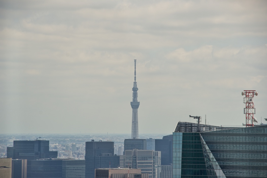 スカイツリー。やっぱりこの季節はモヤが多くって、見通しが悪い。