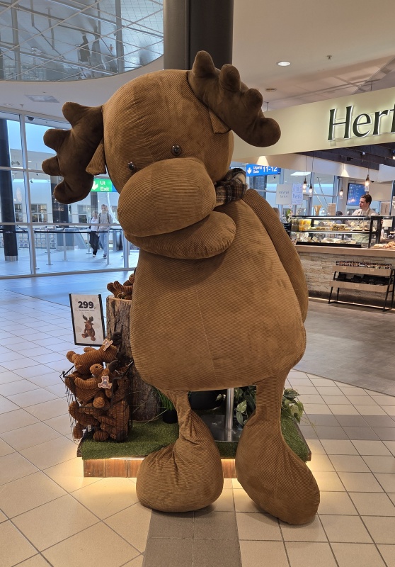 超巨大なヘラジカ