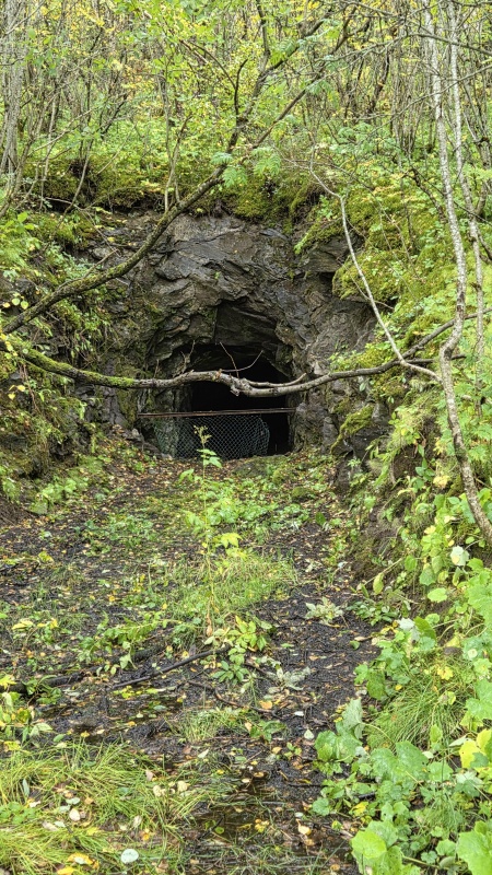 散歩道のあちこちに防空壕が有る